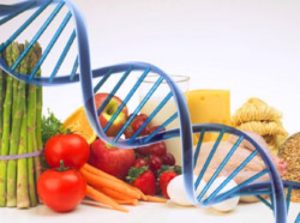 DNA-Expert_food